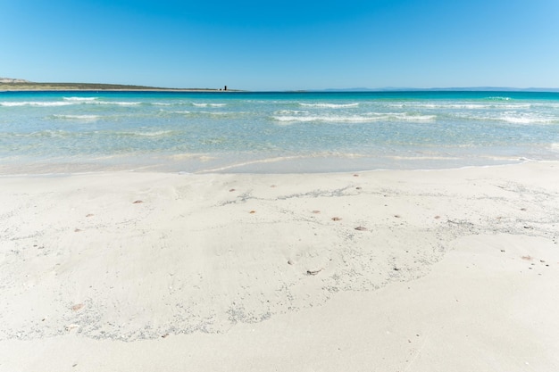 Paesaggio della spiaggia tropicale vuota