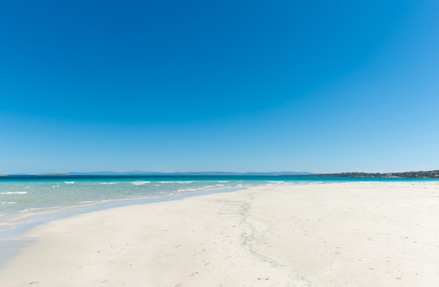 Paesaggio della spiaggia tropicale vuota