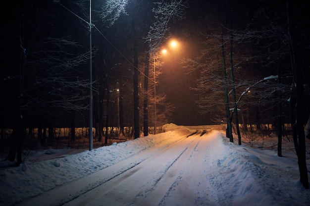 Paesaggio della strada vuota di inverno di notte coperta da neve.