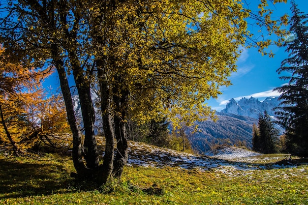 Paesaggio delle alpi francesi in autunno