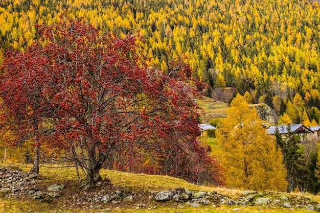 Paesaggio delle alpi francesi in autunno