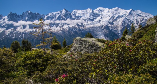 Paesaggio delle alpi francesi