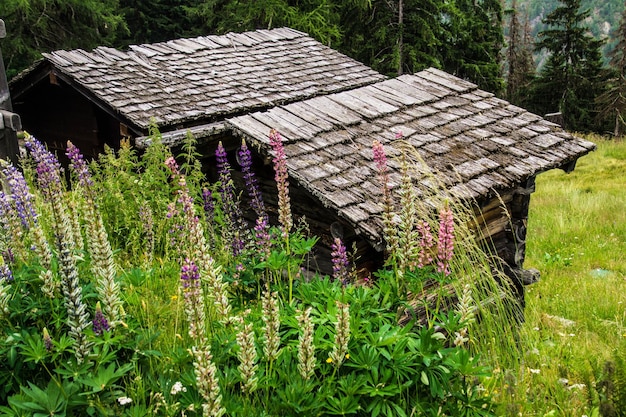 Paesaggio delle alpi francesi