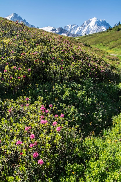 Paesaggio delle alpi francesi