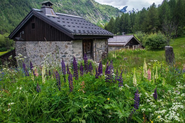 Paesaggio delle alpi francesi