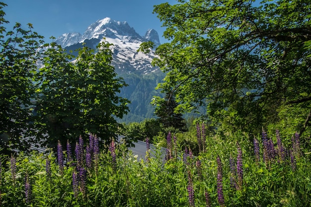 Paesaggio delle alpi francesi