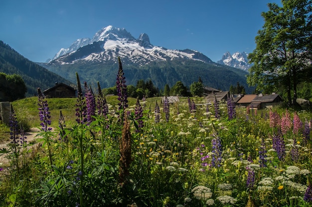 Paesaggio delle alpi francesi