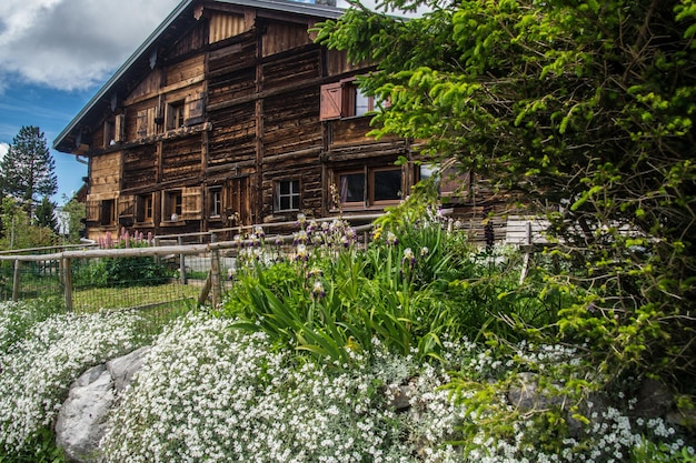 Paesaggio delle alpi francesi