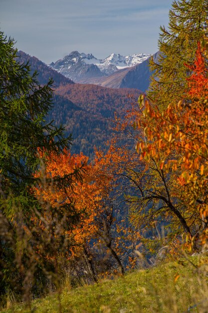 Paesaggio delle Alpi italiane in autunno