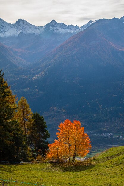 Paesaggio delle Alpi italiane in autunno