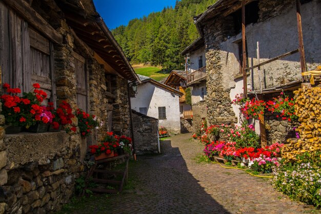 Paesaggio delle Alpi italiane