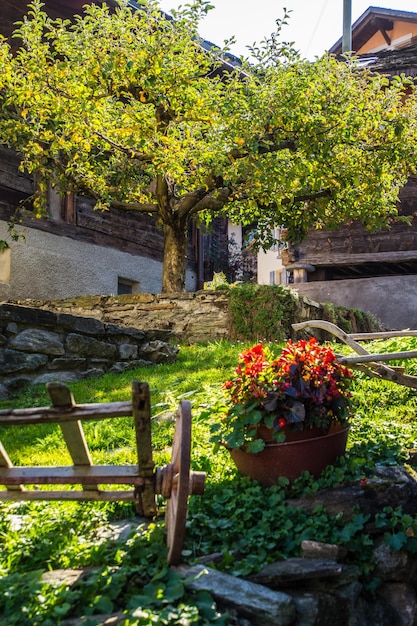 Paesaggio delle Alpi svizzere in autunno