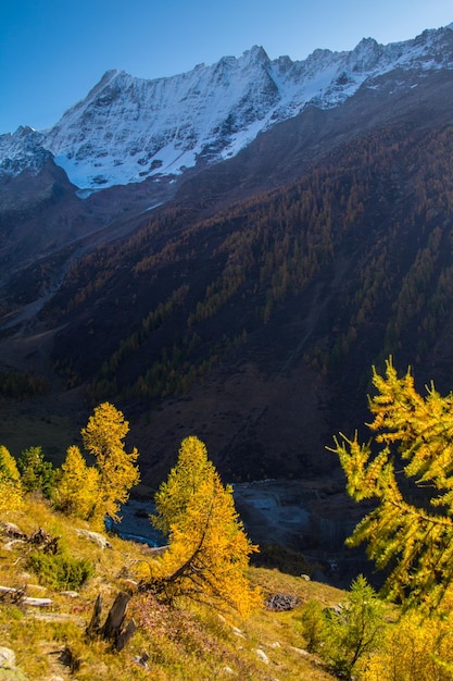 Paesaggio delle Alpi svizzere in autunno