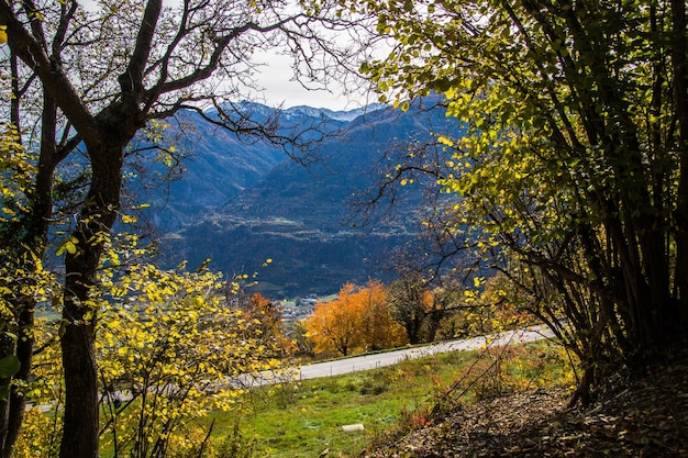 Paesaggio delle alpi svizzere in autunno