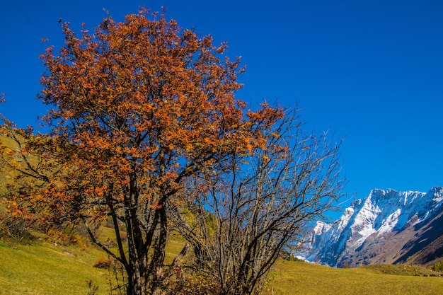 Paesaggio delle Alpi svizzere in autunno