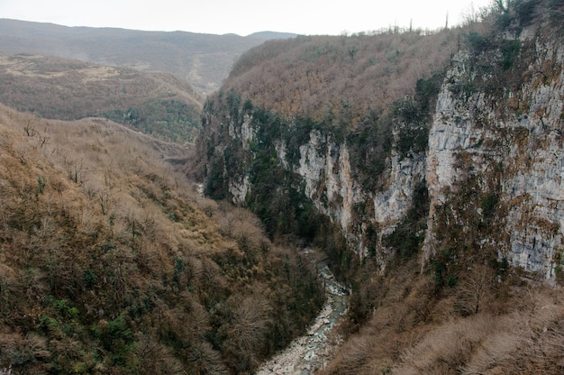 Paesaggio delle alte montagne coperte di alberi gialli e verdi con un fiume lungo