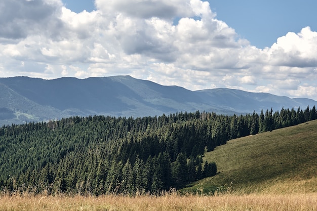 Paesaggio delle colline delle montagne durante il giorno soleggiato con le nuvole del cielo blu. Alberi autunnali scuri. Foresta in estate. Escursioni in montagne selvagge. Concetto di viaggio avventura.