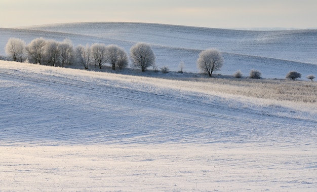 Paesaggio delle colline di Snowy in inverno