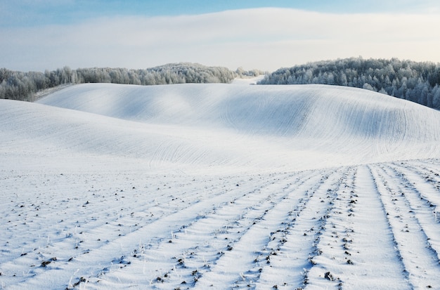 Paesaggio delle colline di Snowy in inverno