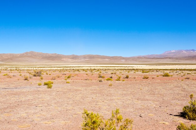 Paesaggio delle montagne boliviane