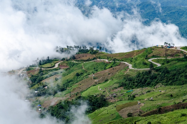 Paesaggio delle montagne con nebbia