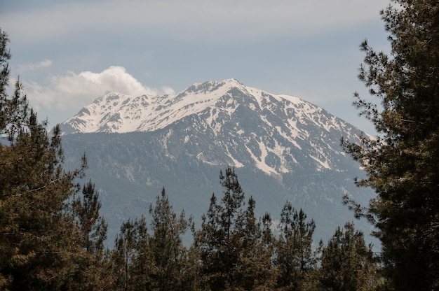 Paesaggio delle montagne coperte di neve