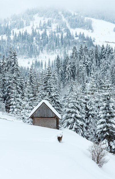 Paesaggio delle montagne dei Carpazi ucraini di inverno