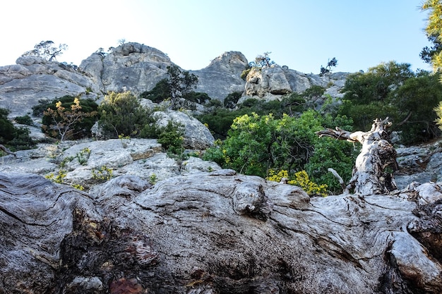 Paesaggio delle montagne della Crimea sul sentiero Golitsyn Crimea Russia 2021