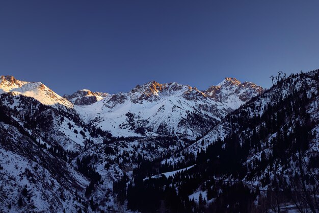 Paesaggio delle montagne in inverno