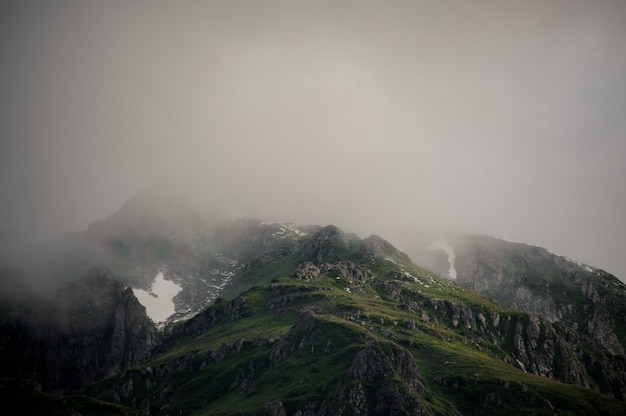 Paesaggio delle montagne verdi coperte di nebbia bianca