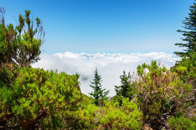 Paesaggio delle montagne