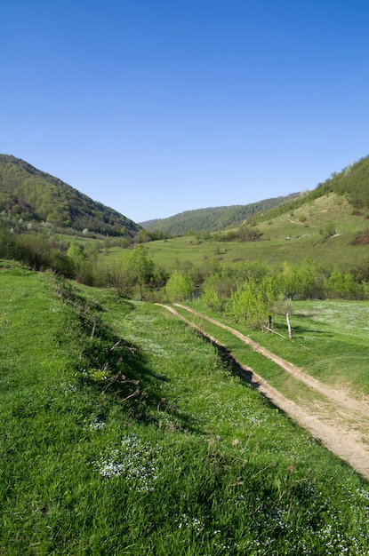 paesaggio delle montagne