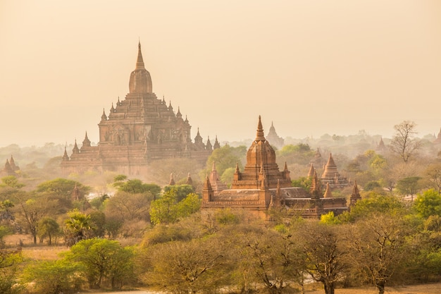 paesaggio delle pagode di Bagan, Myanmar