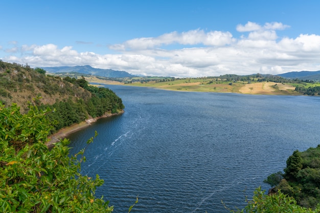 Paesaggio delle pietre del fiume della foresta