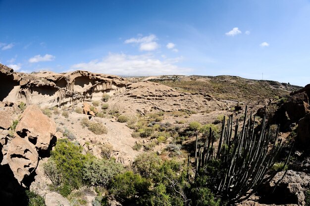 Paesaggio desertico a Tenerife Canarie Spagna