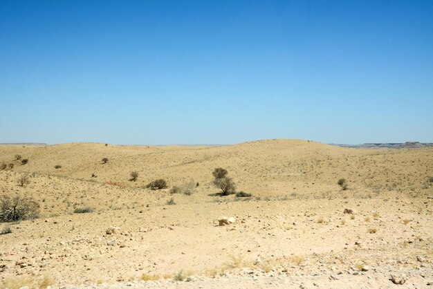 Paesaggio desertico asciutto con piccoli cespugli sotto il cielo blu Riscaldamento globale e cambiamenti climatici