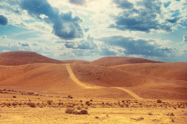 Paesaggio desertico con cielo blu Strada sterrata in montagna