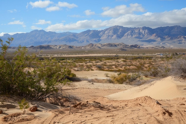 paesaggio desertico con dune di sabbia in primo piano e montagne all'orizzonte