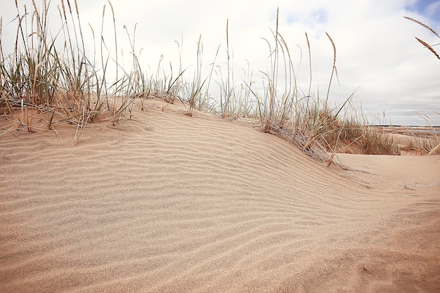 paesaggio desertico / deserto di sabbia, nessun popolo, paesaggio di dune