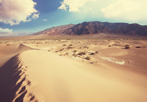 Paesaggio desertico