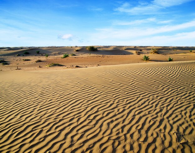 Paesaggio desertico