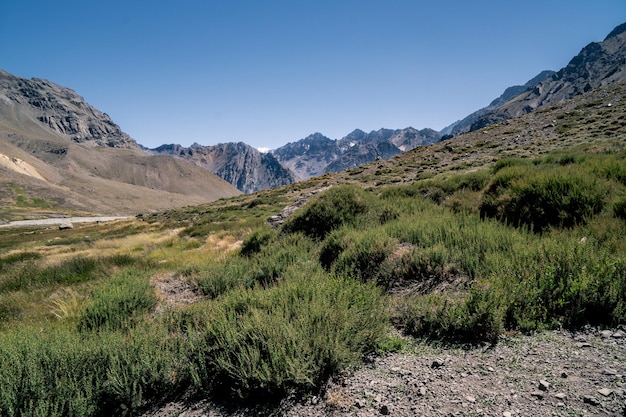 paesaggio di alta montagna con una zona umida e montagne sullo sfondo della catena montuosa delle Ande