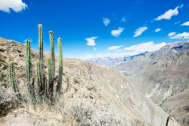 Paesaggio di Arequipa PeruxAxA