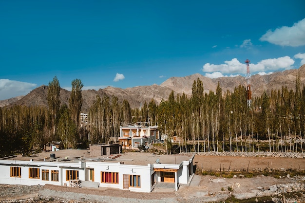 Paesaggio di autunno nella regione di Leh Ladakh, India