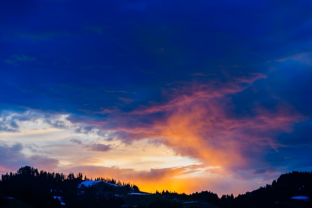 Paesaggio di bello cielo multicolore di sera sopra la foresta