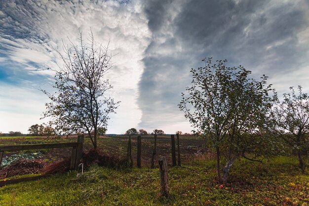 paesaggio di campagna autunnale e cielo nuvoloso