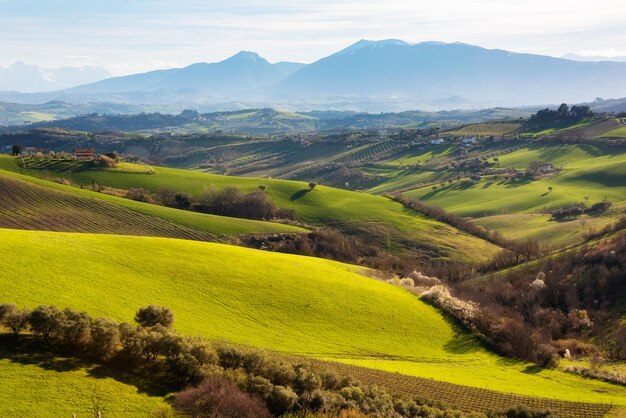 Paesaggio di campagna campi agricoli verdi tra le colline