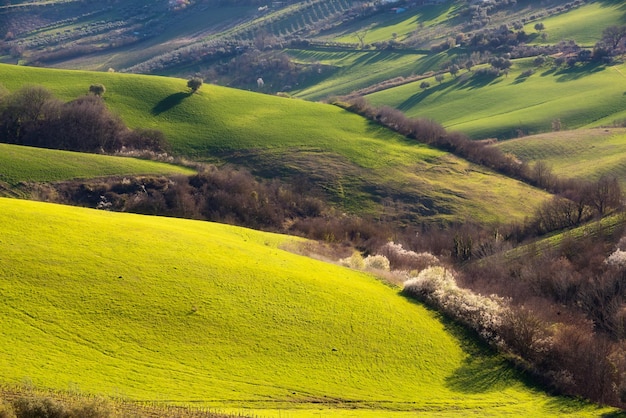 Paesaggio di campagna campi agricoli verdi tra le colline