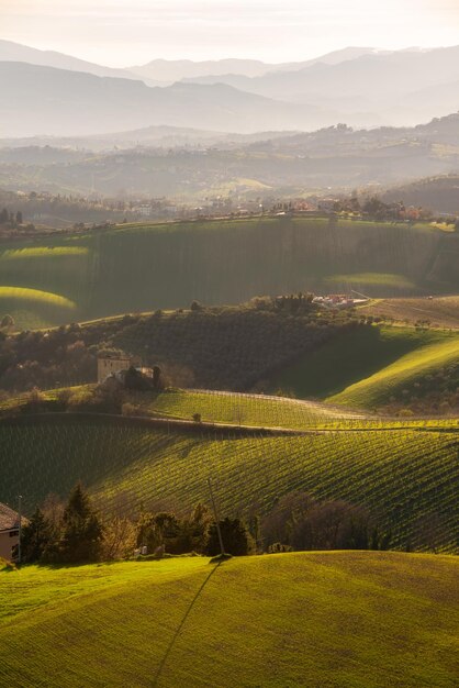 Paesaggio di campagna campi agricoli verdi tra le colline