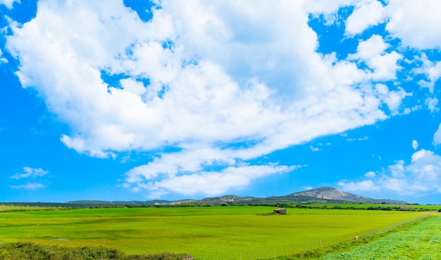 Paesaggio di campagna con una piccola casa